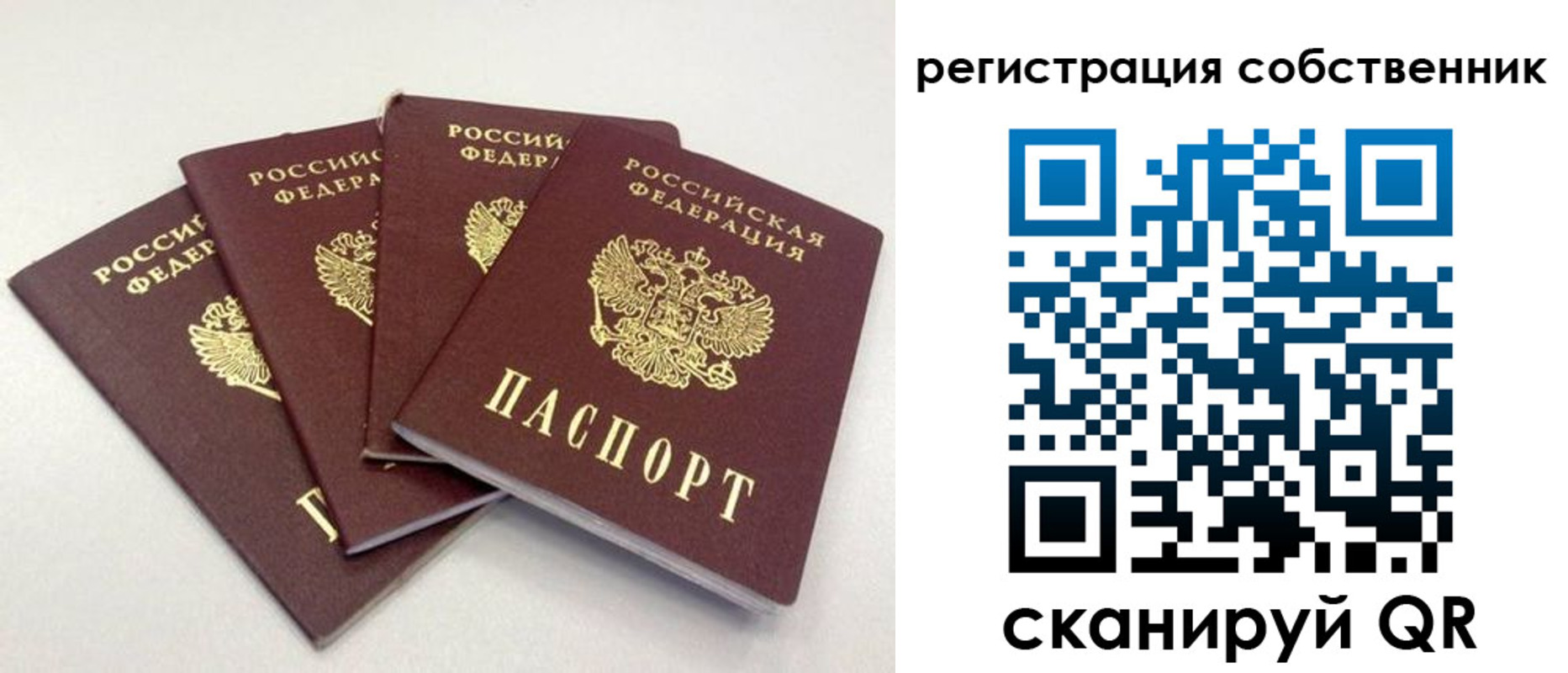 прописка для школы в Жирновске